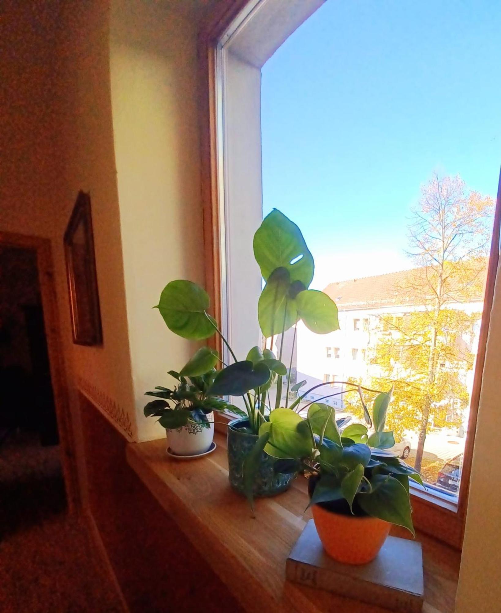 Ferienwohnung Antik Гота Екстериор снимка
