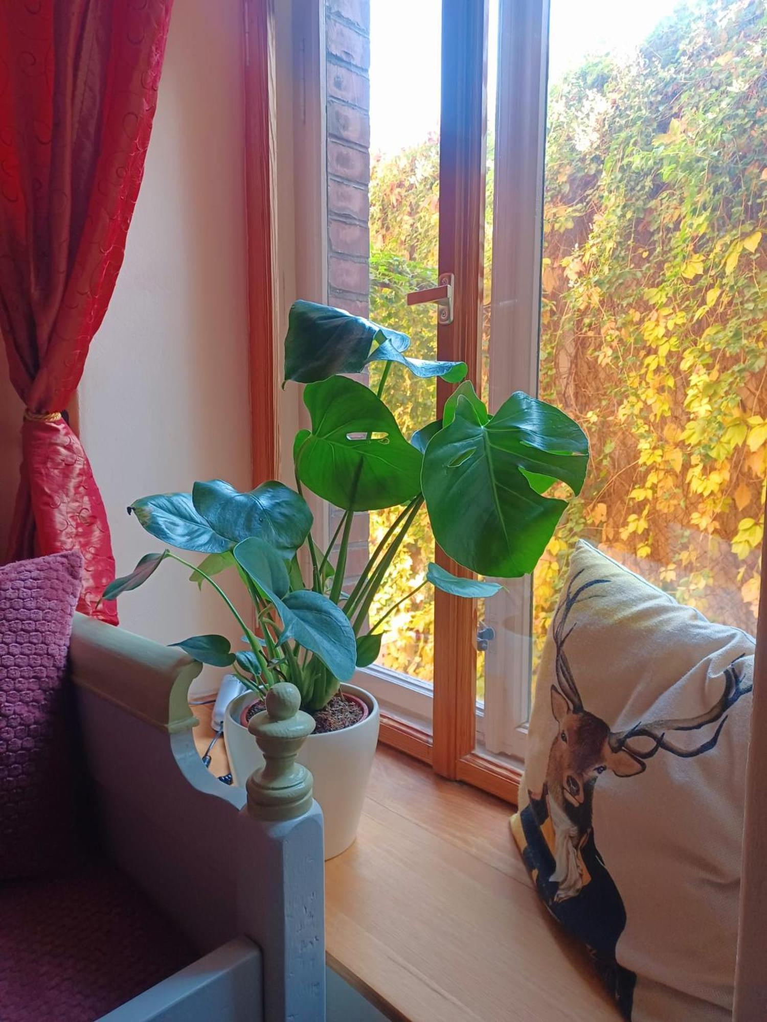 Ferienwohnung Antik Гота Екстериор снимка