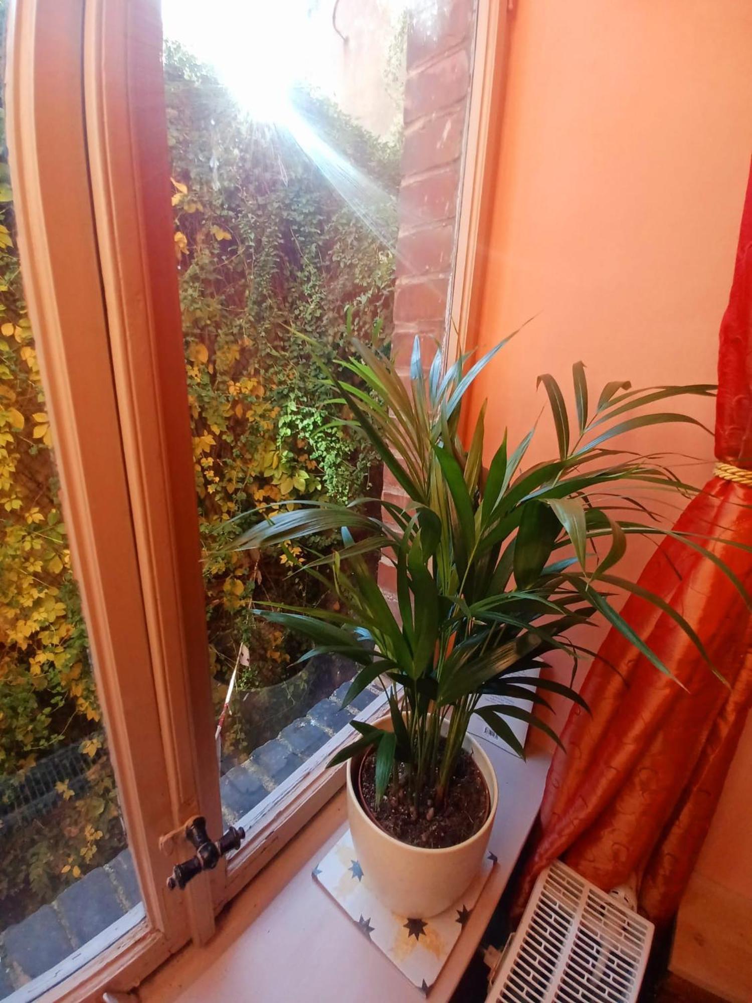 Ferienwohnung Antik Гота Екстериор снимка